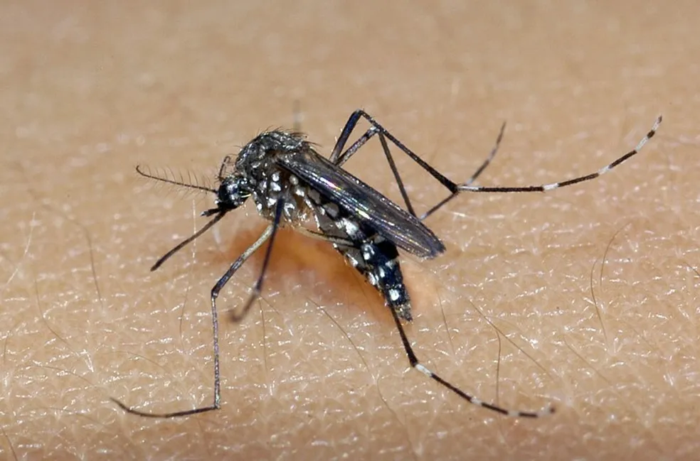 Jales confirma primeira morte por dengue no ano